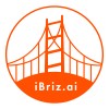 iBriz.ai